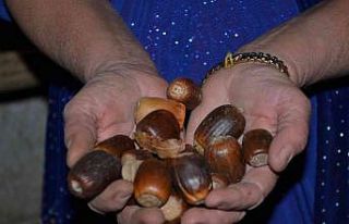 Şırnaklı besiciler, hayvanlarına ziyafet çekmek...