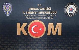 Şırnak’ta kaçakçılık ve asayiş operasyonu:...