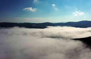 Sisle kaplanan Akdağmadeni ormanları havadan görüntülendi