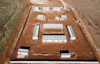 Sokak hayvanları sıcak yuvalarına kavuşacak