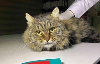 Son tarih 31 Aralık