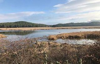 Süleymanlı Yayla Gölünde dip temizliği yapılıyor