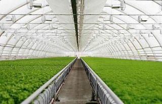 Sütcü: "Hedefimiz daha fazla üretim, istihdam...