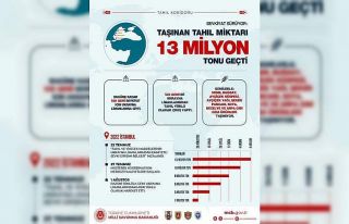 Tahıl koridorunda taşınan tahıl 13 milyon tonu...