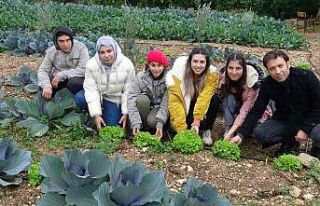 Tarım lisesinin özel öğrencileri üretti