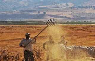 Tarımsal girdi fiyat endeksi ekimde yıllık yüzde...