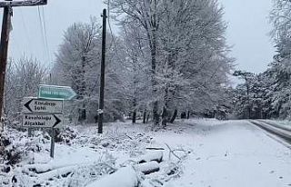 Taşova’nın yüksek kesimleri beyaza büründü