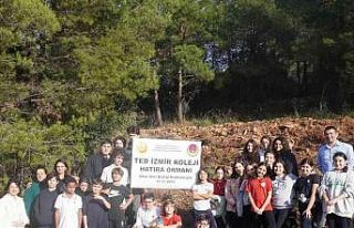 TED İzmir Koleji öğrencileri yüzlerce fidanı...