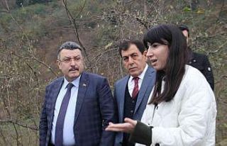 Trabzon’a Fındık Adası kurulacak