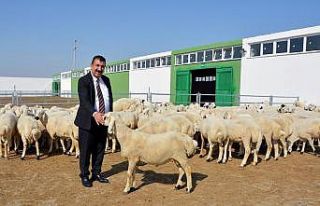 TÜDKİYEB Genel Başkanı Çelik: “Türkiye’nin...
