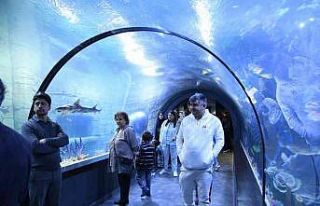 Tünel Akvaryum’un ziyaretçi sayısı 200 bini...