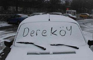 Türkiye-Bulgaristan sınırı beyaza büründü