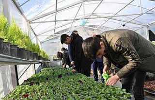 Türkiye tarımının yeni gücü