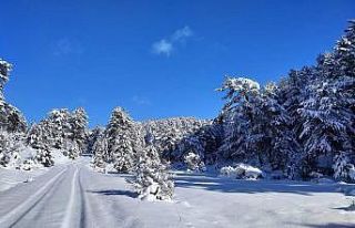 Türkmen Dağı da beyaza büründü