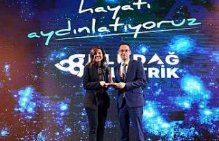 Uludağ Elektrik, yılı ödüllerle kapatıyor