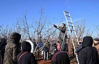 Üreticilere budama eğitimi verildi