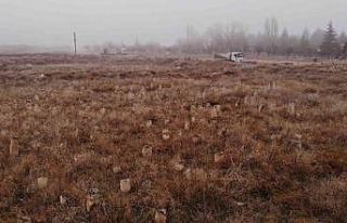 Ürgüp Belediyesi Yol Çalışmalarına Devam Ediyor