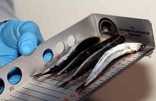 Uygunsuz avlanmaya geçit yok