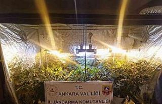 Uyuşturucu imali için evini seraya çeviren zehir...