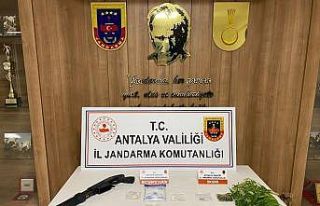 Uyuşturucu operasyonuna 1 tutuklama