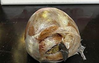 Uyuşturucu operasyonunda 2 tutuklama