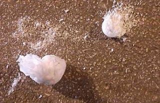 Uyuşturucu taciri 2 şüpheli tutuklandı