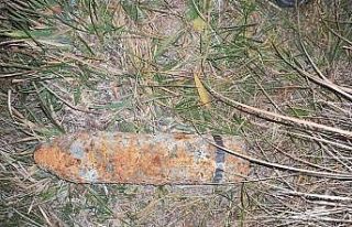 Van Gölü sahilinde patlamamış tank mühimmatı...