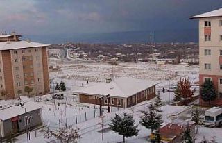 Van kar yağışıyla beyaza büründü