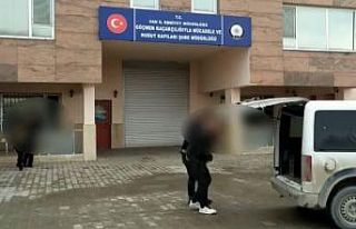 Van’da 3 organizatör tutuklandı