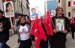 Vanlı ailelerin evlat nöbeti 50’nci haftasına...