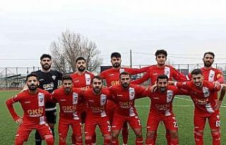 Viranşehir Belediyespor deplasmanda güldü