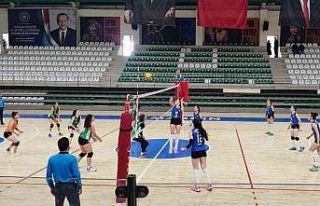Voleybol Kadınlar 2. Lig