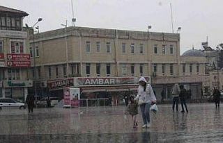 Yağmur çiftçilerin yüzünü güldürdü