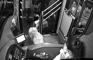 Yağmurdan kaçarak halk otobüsüne sığınan köpek...