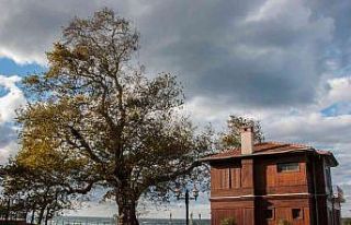 Yalova’da müzeler, 1 ocakta kapalı olacak