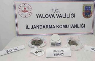 Yalova’da uyuşturucu operasyonu: 2 gözaltı