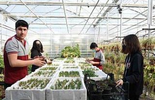 Yalova’daki meslek liselerinin ciroları fabrikaları...