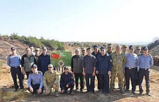 Yangında zarar gören 4 hektarda bin 600 fidan toprakla...