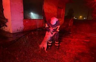 Yangını söndürüp mahsur kalan köpeği kurtardılar