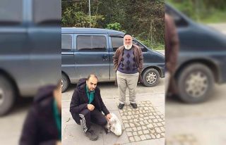 Yaralı halde bulunan kuğu Doğa Koruma ve Milli...