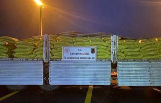 Yol kontrolü uygulamasında durdurulan tırda 26...