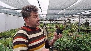 Yurt dışından getirdiği sinek ve böcek yiyen...