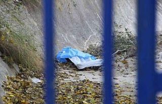 Zeytin toplamak için çıktığı ağaç sonu oldu