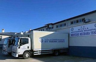 2022 yılında mezbahalarda 17 bin büyükbaş kesildi