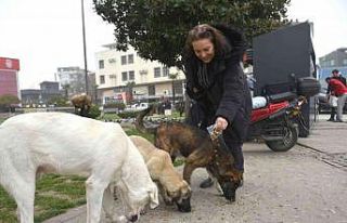 5 şişe atık bir cana mama oldu