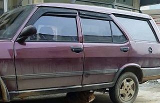 Aç kalan çakal şehre indi