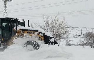 Adıyamanda köy yolları ulaşıma açıldı
