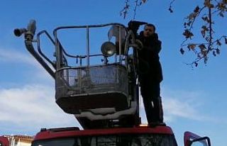 Ağaca takılan kargayı itfaiye kurtardı