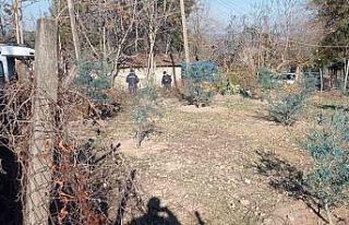 Ağaçta kalp krizi geçiren adam hayatını kaybetti