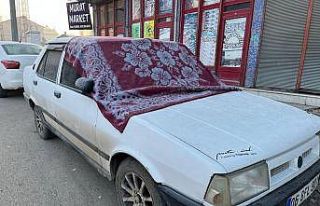 Ağrı’da sis ve don etkili oldu